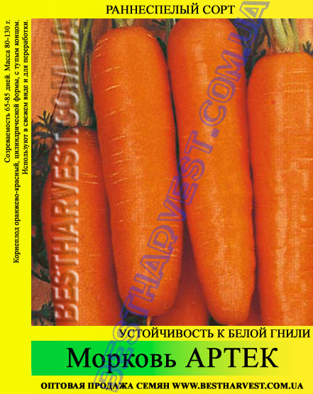 Насіння моркви «Артек» 25 кг (мішок)