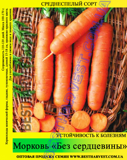 Семена моркови "Без сердцевины" 1 кг - фото 1 - id-p45768666