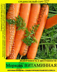 Насіння моркви Вітамінна 1 кг