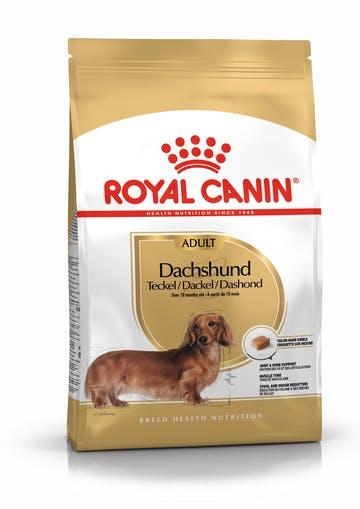Royal Canin Dachshund Adult (Роял Канін Даксхунд Едалт) сухий корм для собак породи такса від 10 місяців