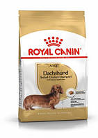 Royal Canin Dachshund Adult (Роял Канін Даксхунд Едалт) сухий корм для собак породи такса від 10 місяців