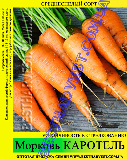 Насіння моркви «Каротель» 100 г