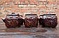 Набір горщиків для духовки «Полуниця» кераміка 550 мл 6 шт (761), фото 2
