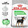 Royal Canin Mini Digestive Care (Роял Канін Міні Дайджестив Кер) корм для собак до 10 кілограмів за слабкого шлунково-кишкового тракту, фото 2