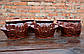 Набір горщиків для духовки «Карета» коричневі кераміка 550 мл 6 шт (763), фото 2