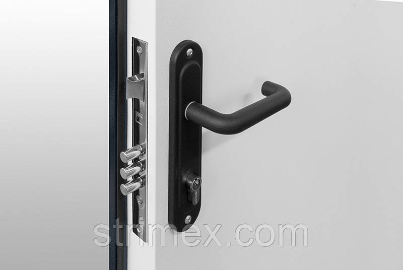 Рентгенозащитные двери "Стримэкс" Strimex RZD Simple - фото 5 - id-p1332483895