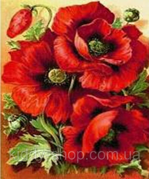 Алмазна вишивка. Картина на картоні "Маки червоні" , розмір 21х25, фото 1
