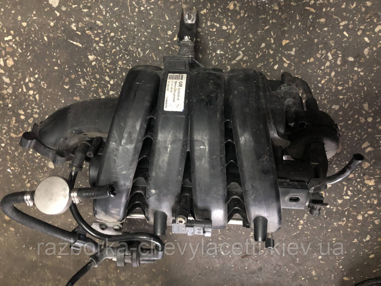 Колектор впускний Chevrolet Cruze 1.8 55565816