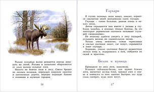 Будиночок в лісі В. С. Соколов-Микитов, фото 2