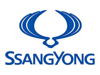 Рейлінги на дах Ssang Yong