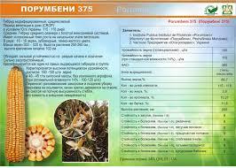 Насіння Кукурудзи ПОРУМБЕНІ 375 МРФ (ФАО 310), 21,2 кг, 2019 р.в. Югагросервіс