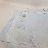 Водяной коврик с рыбками 66х55 см Синий, фото 2