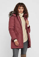 Верхній одяг