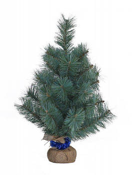 Сосна новорічна h-0,60 м "Новорічна блакитна" 904188 G-Rich