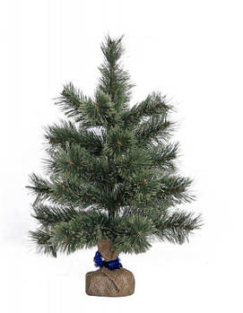 Сосна новорічна h-0,60 м "Лапландія" 903347 G-Rich