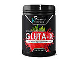 Глютамин в порошку Gluta-X Powerful Progress 500 грам, фото 3