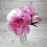 Букети відкритих півоній рожевих, 5 шт., фото 2
