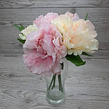 Букети відкритих півонів ніжно-рожевого лимонного кольору 5 шт., фото 4