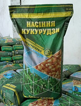 Семена ранней кукурузы ДН Пивиха ФАО 180, фото 2