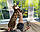 Дівчинка бенгал, ін. 28.10.2020. Бенгальські кошенята з вихованця Royal Cats. Україна, Київ, фото 8