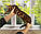 Хлопчик бенгал, ін. 06.11.2020. Бенгальські кошенята з вихованця Royal Cats. Україна, Київ, фото 5
