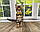 Хлопчик бенгал, ін. 06.11.2020. Бенгальські кошенята з вихованця Royal Cats. Україна, Київ, фото 2