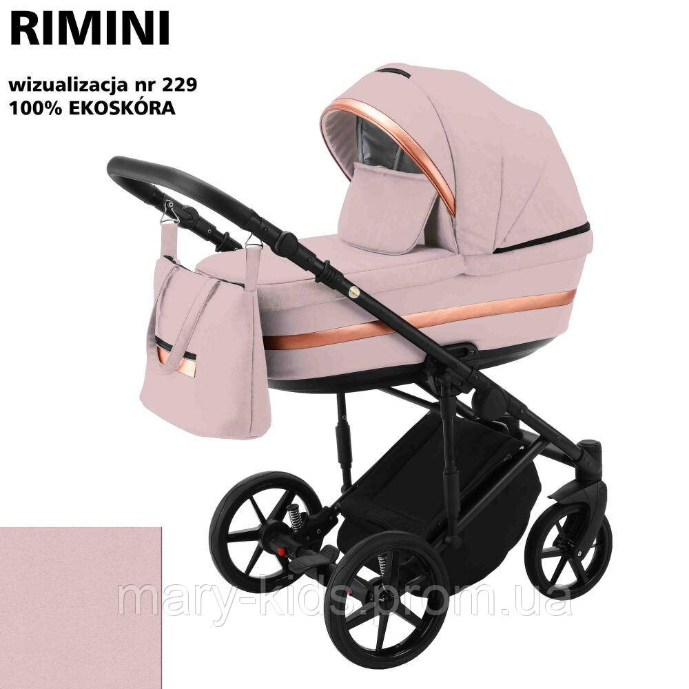 Дитяча універсальна коляска 2 в 1 Adamex Rimini Eco RI-229