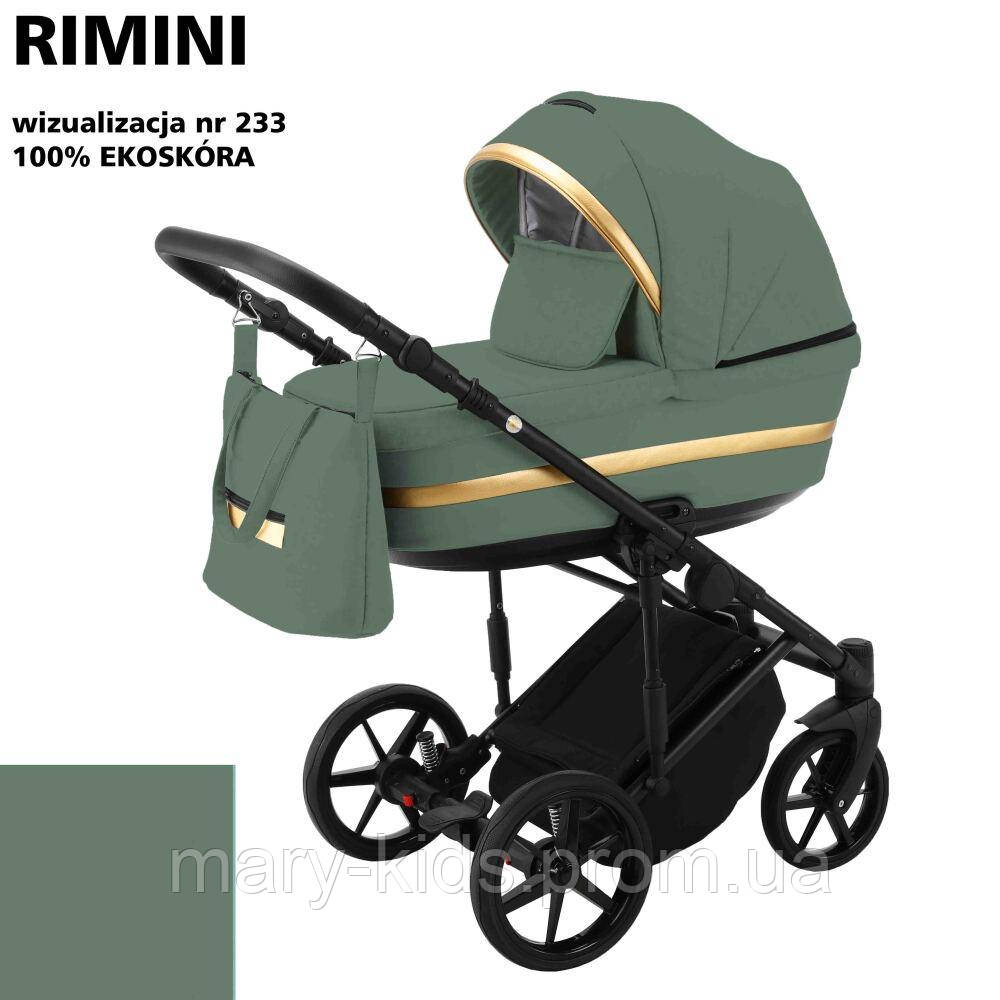 Дитяча універсальна коляска 2 в 1 Adamex Rimini Eco RI-233