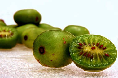 Актинідія Аргута Ananasnaya(самозапильна) 2 річна, Актинідія Аргута Ананасна, Actinidia arguta Ananasnaya