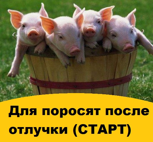 Купить комбикорм для поросят (СТАРТ) в магазине комбикорма Украина ...