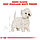 Royal Canin West Highland White Terrier Adult (Роял Канін Вест Хайленд Уайт Тер'єр Едалт) корм для собак, фото 4
