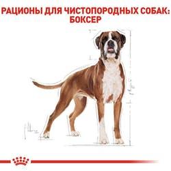 Royal Canin Boxer Adult (Роял Канин Боксер Эдалт) сухой корм для собак породы боксер от 15 месяцев 12 кг. - фото 5 - id-p1333387135