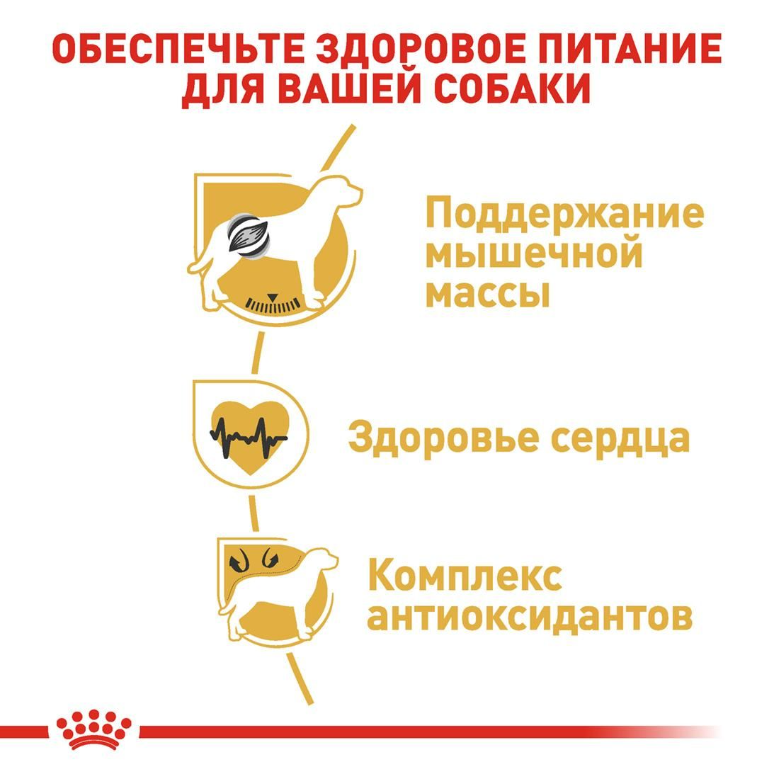 Royal Canin Boxer Adult (Роял Канин Боксер Эдалт) сухой корм для собак породы боксер от 15 месяцев 12 кг. - фото 3 - id-p1333387135