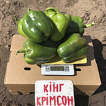 Насіння солодкого перцю Крімсон Кінг F1 (Crimson King F1) Hazera 1000, фото 4