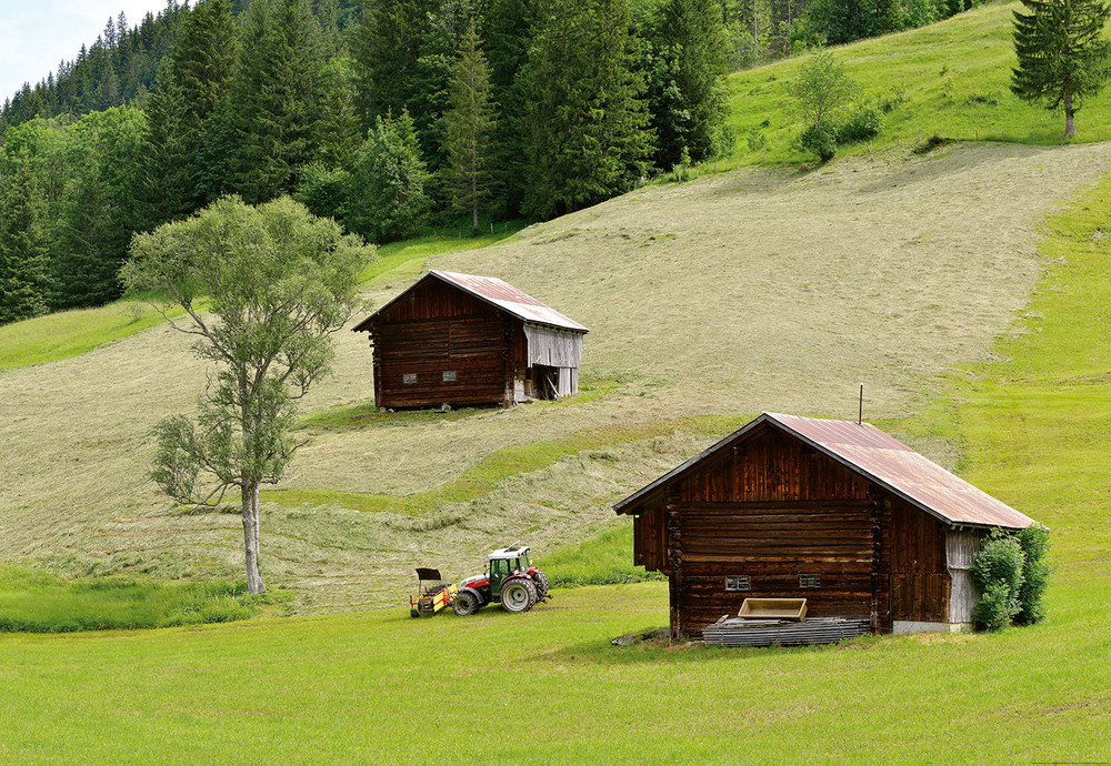 Фотошпалери 3D природа 368х254 см Wizard+Genius Будиночки в лісі (5185-4P-wg) Найкраща якість, фото 1