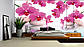 Фотошпалери флізелінові 3D 368х254 см Квіти орхідеї на воді (151V8) Найкраща якість, фото 3
