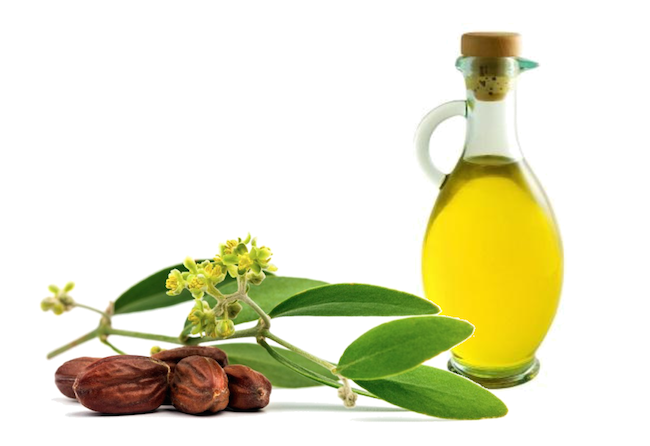 Олія жожоба Проміс-Плюс, 10 мл