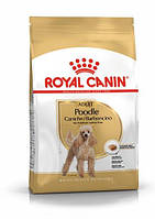 Royal Canin Poodle Adult (Роял Канин Пудель Эдалт) сухой корм для взрослых собак породы пудель от 10 месяцев