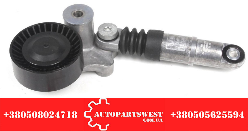 НАТЯЖНИЙ МЕХАНІЗМ (амор.+ролик) SPR.906. 318-319.   INA