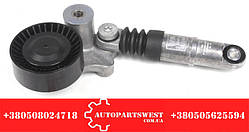 НАТЯЖНИЙ МЕХАНІЗМ (амор.+ролик) SPR.906. 318-319.   INA