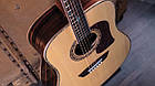 Акустична гітара WASHBURN ELITE HD80 S, фото 6