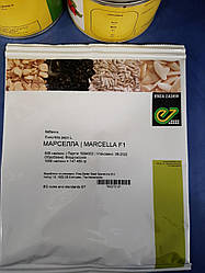 Марселла F1/Marcella F1 — Кабачок, Enza Zaden. 500 насіння