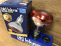 Лампа накаливания ИКЗК 175 Ват (инфракрасная зеркальная лампа) Искра Львов индивидуальная упаковка