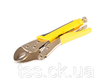 Кліщі затискні універсальні MASTERTOOL 250 мм 07-0901, фото 1