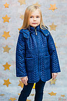 Куртка демисезонная синяя для девочки (116 см.) No name