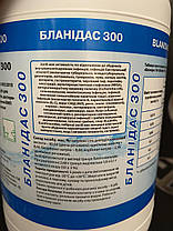 Бланидас 300 засіб для дезінфекції і миття, (в гранулах - 1000г.) Lysoform Blanidas, фото 3