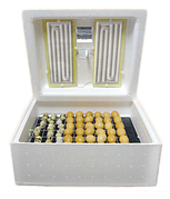 Інкубатори та овоскопи