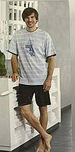 Комплект чоловічий футболка шорти RINGELLA Німеччина M,L,бавовна,сірий