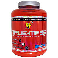 True Mass 1200 - 2640g - BSN