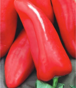Насіння перцю Анахайм напівгострий чилі-гігант (15-18 см), фото 1